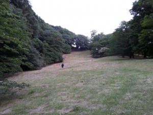 長沼公園　登る