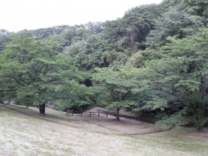長沼公園