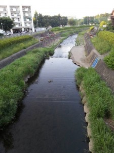 湯殿川　北野町