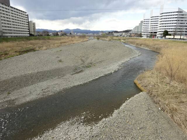 浅川　2015.3.24撮影（2）