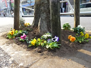 植え込みのお花たち　京王八王子