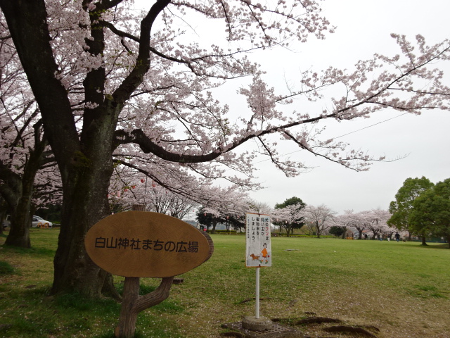 白山神社まちの広場