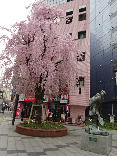 「若き母」の像としだれ桜