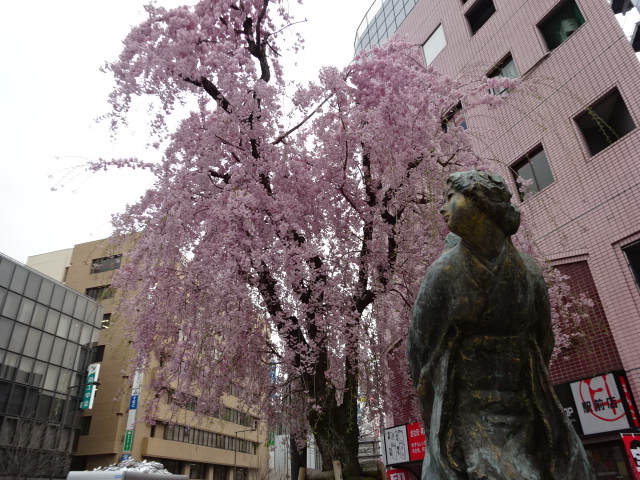 「若き日の母」像　しだれ桜をバックに