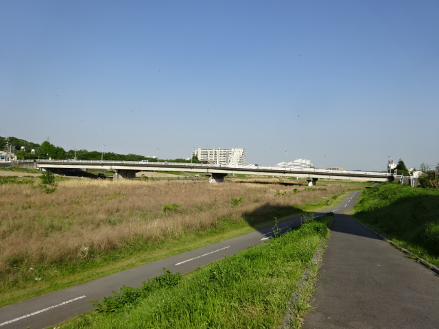 浅川河川敷