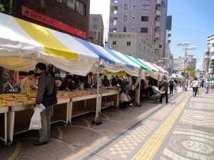 八王子古本まつり　第8回のようす