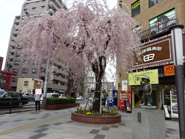 しだれ桜と将軍の孫ブロンズ像